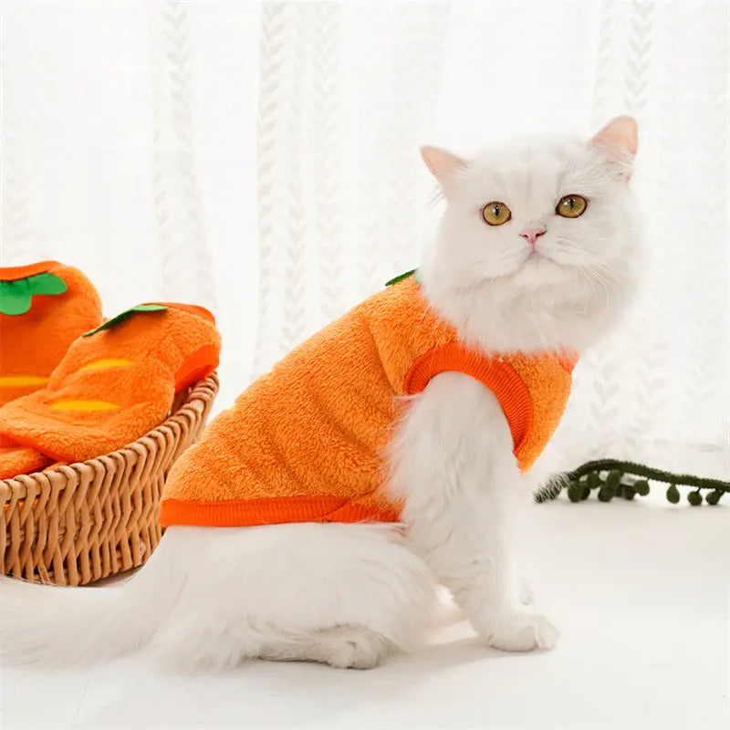 🎃 Halloween Pumpkin Dog Costume