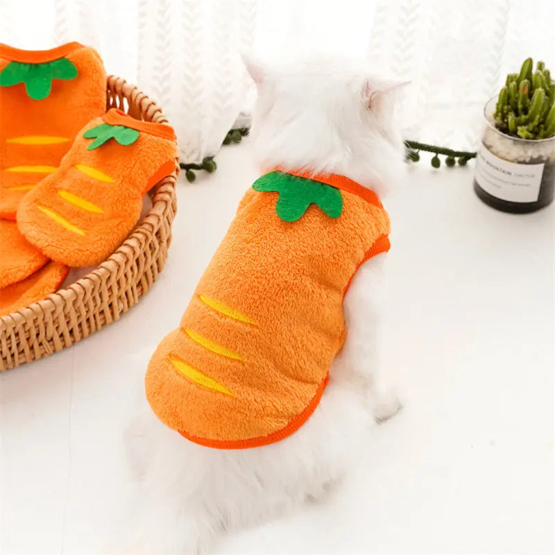 🎃 Halloween Pumpkin Dog Costume