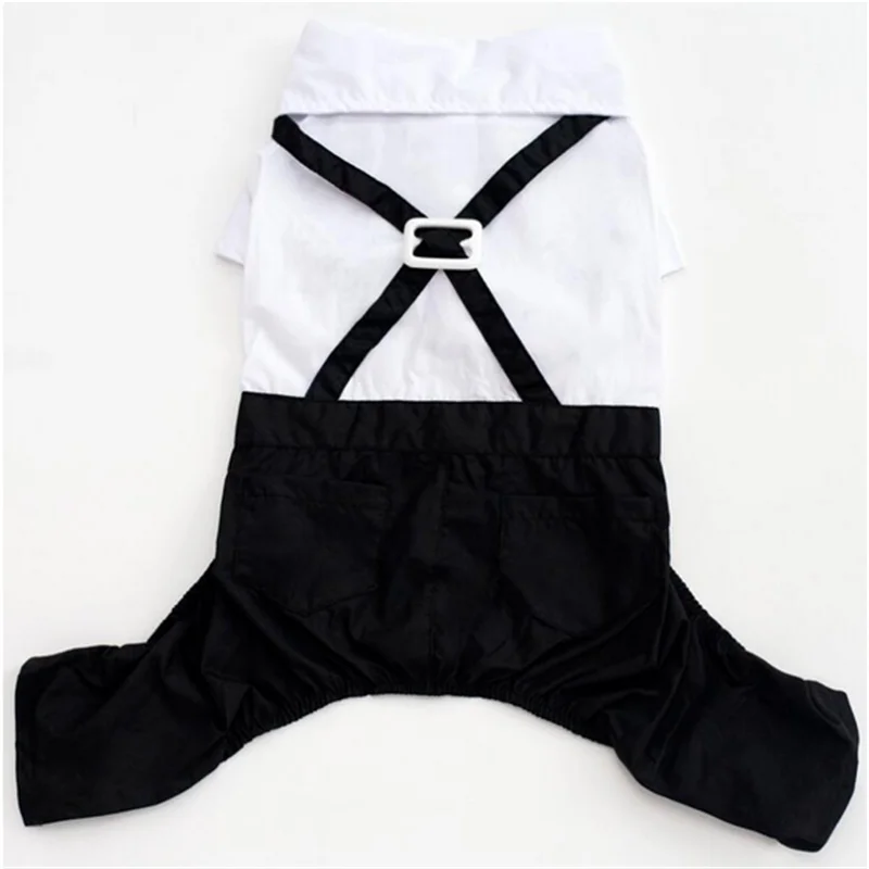 🖤 Dog Tuxedo Suit