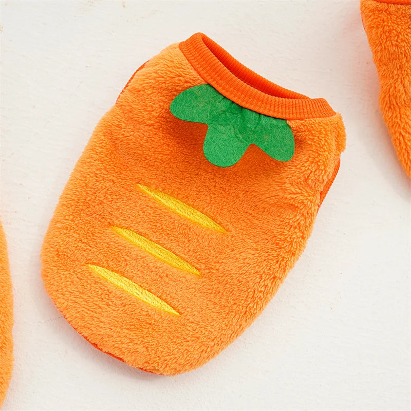 🎃 Halloween Pumpkin Dog Costume