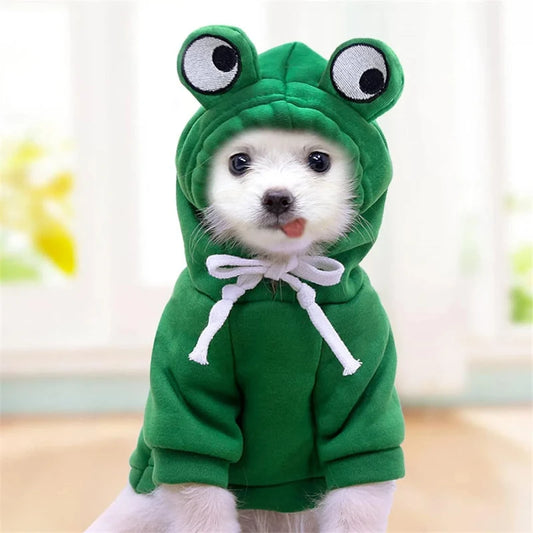 🐸 Froggy Dog Hoodie