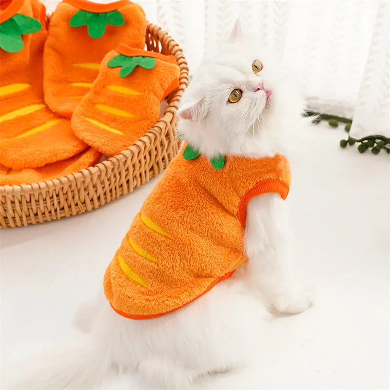 🎃 Halloween Pumpkin Dog Costume