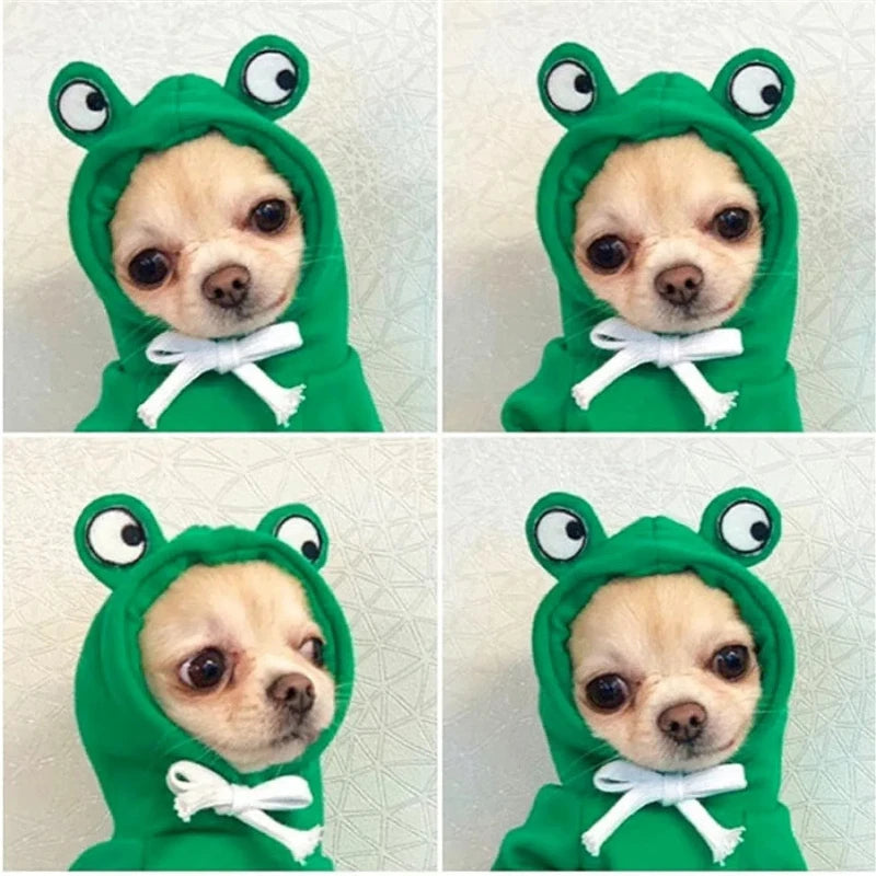 🐸 Froggy Dog Hoodie