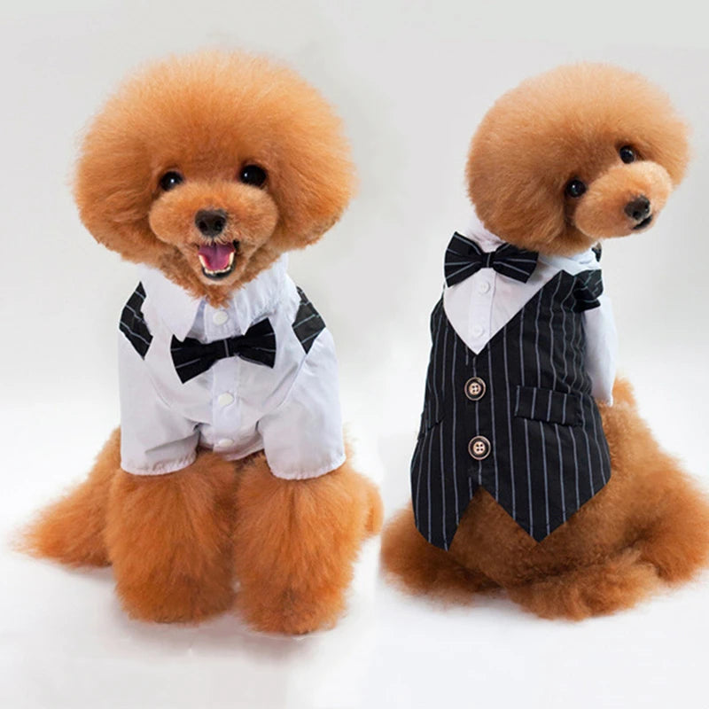 🖤 Dog Tuxedo Suit